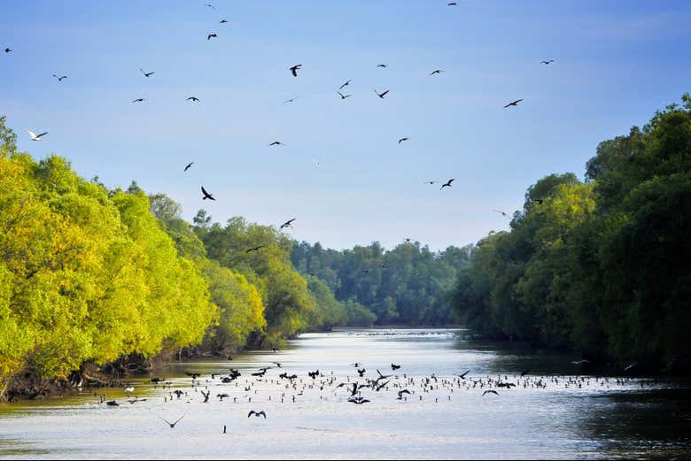 See the wildlife that lives here