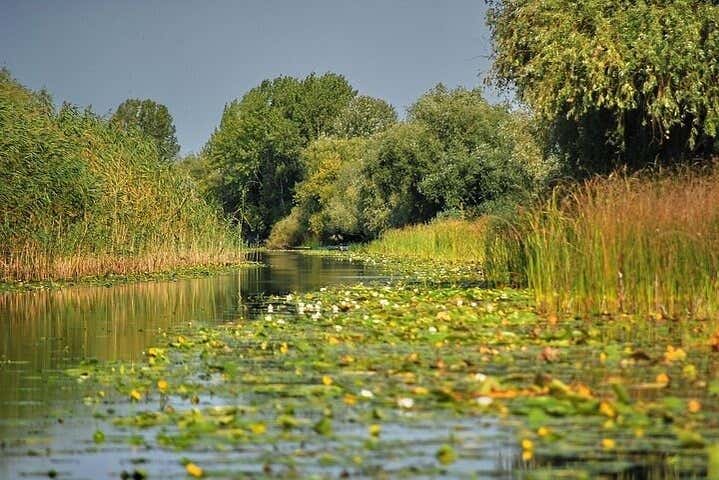 Tranquil waters of the Danube Delta