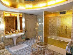 The toilet