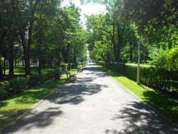 Path in Cismigiu Park